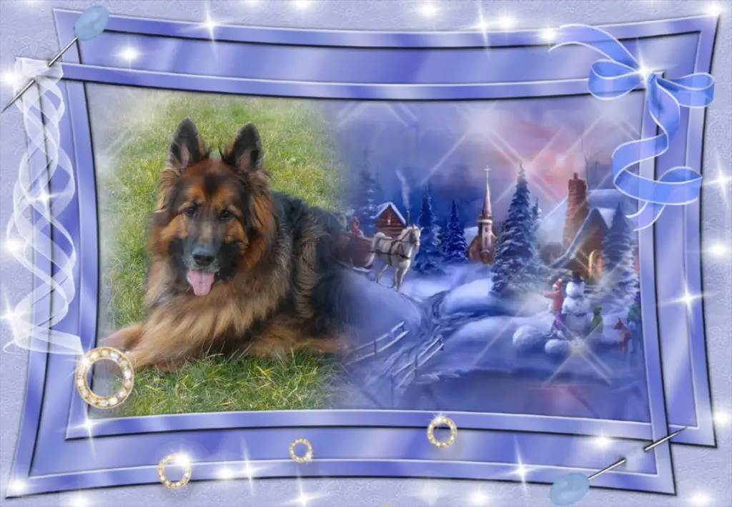 Andachtsbild von Klaudia mit Misiu❤❤❤Ganz Tief im Herzen❤