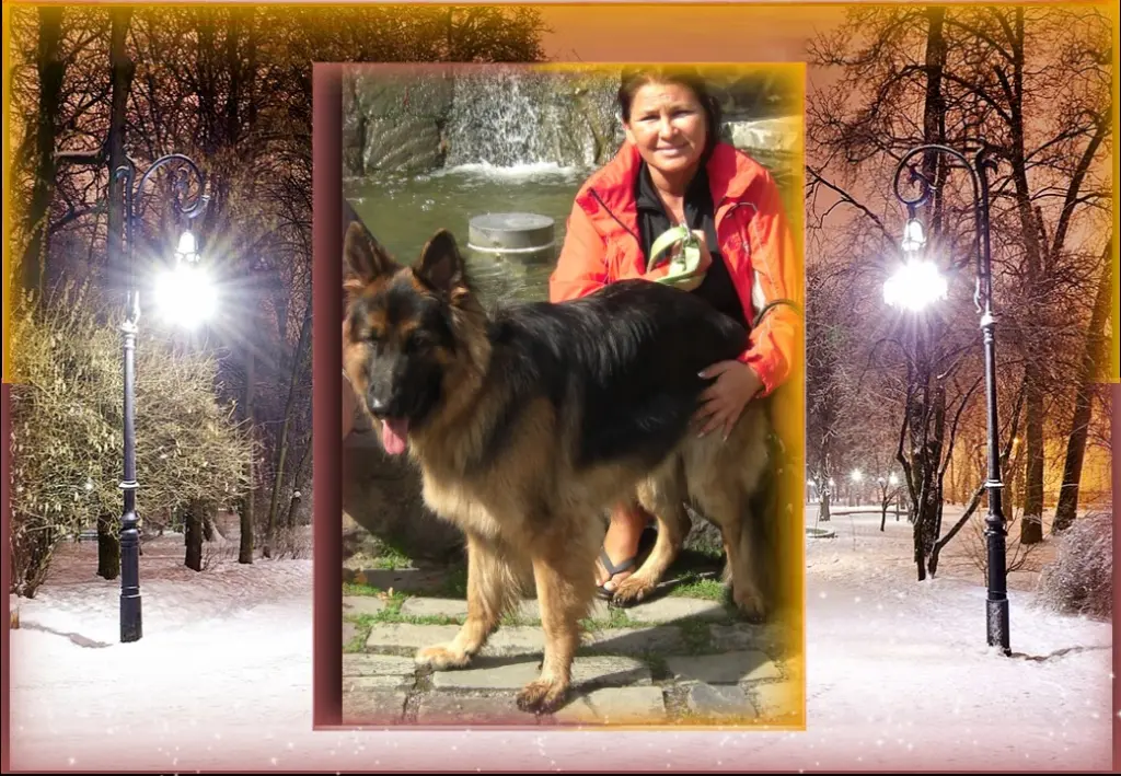 Andachtsbild von Klaudia mit Misiu❤❤❤Ganz Tief im Herzen❤