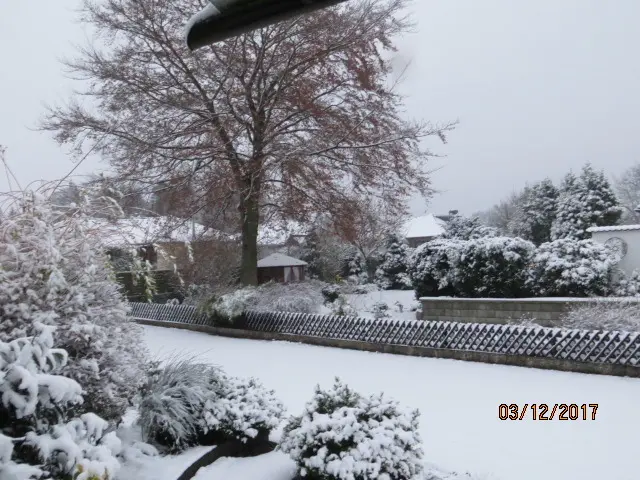 Andachtsbild von Uschi mit Seelenkatzen Jojo und Merlin