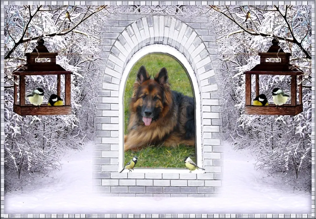 Andachtsbild von Klaudia mit Misiu❤❤❤Ganz Tief im Herzen❤