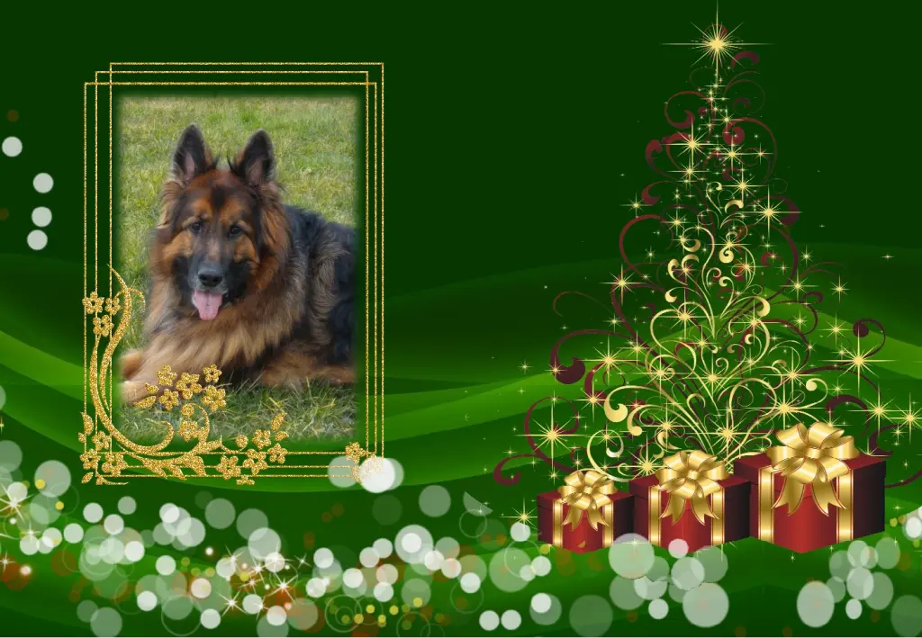 Andachtsbild von Klaudia mit Misiu❤❤❤Ganz Tief im Herzen❤