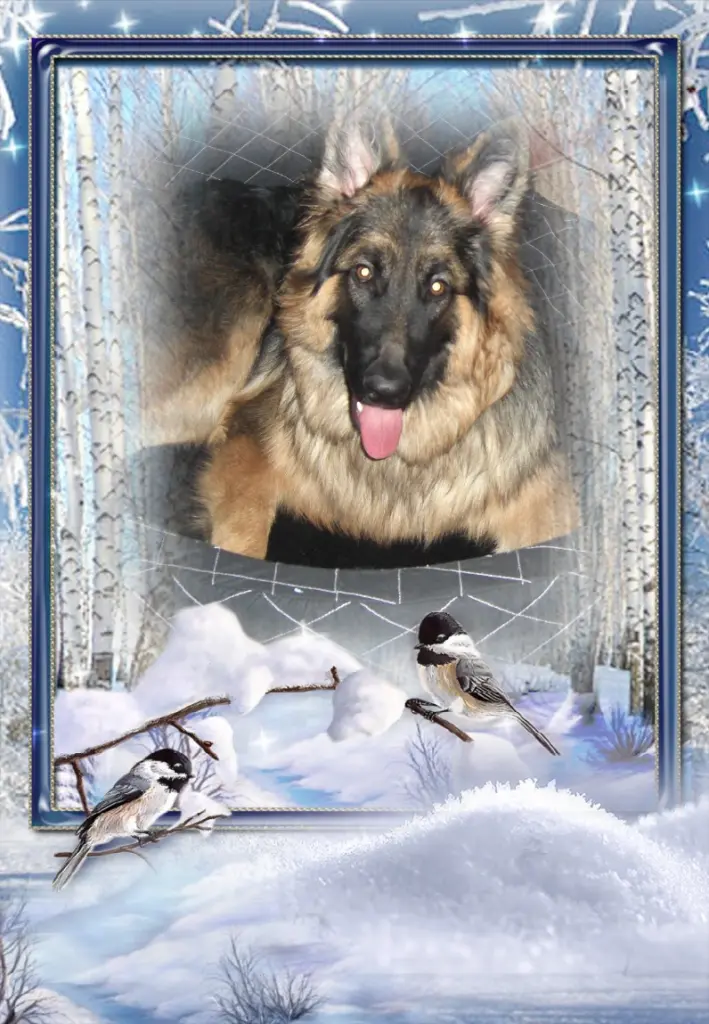 Andachtsbild von Dla Ukochanego Misia❤️❤️❤️