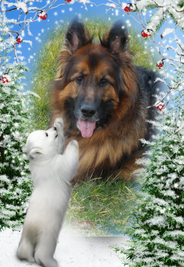 Andachtsbild von Dla Misiulka❤❤❤