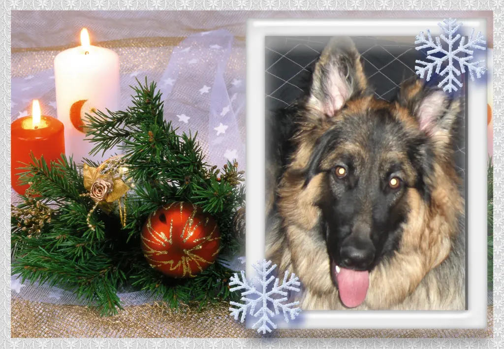 Andachtsbild von Mój Misiulek❤❤❤