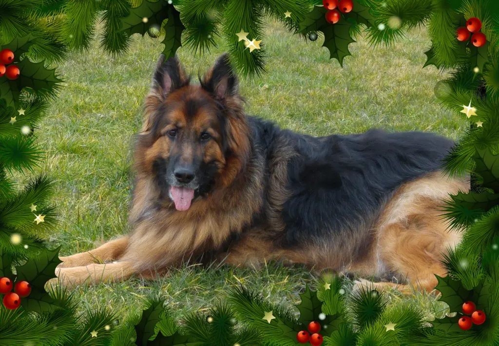 Andachtsbild von Najukochańszy Misiulek❤️❤️❤️