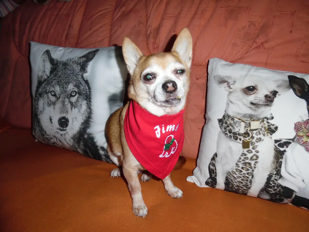 Andachtsbild von Irene mit Jimmy tief im Herzen