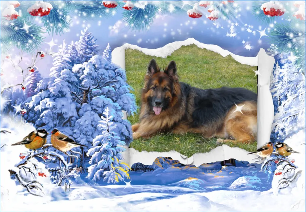 Andachtsbild von Najdroższy Misieńku❤️❤️❤️