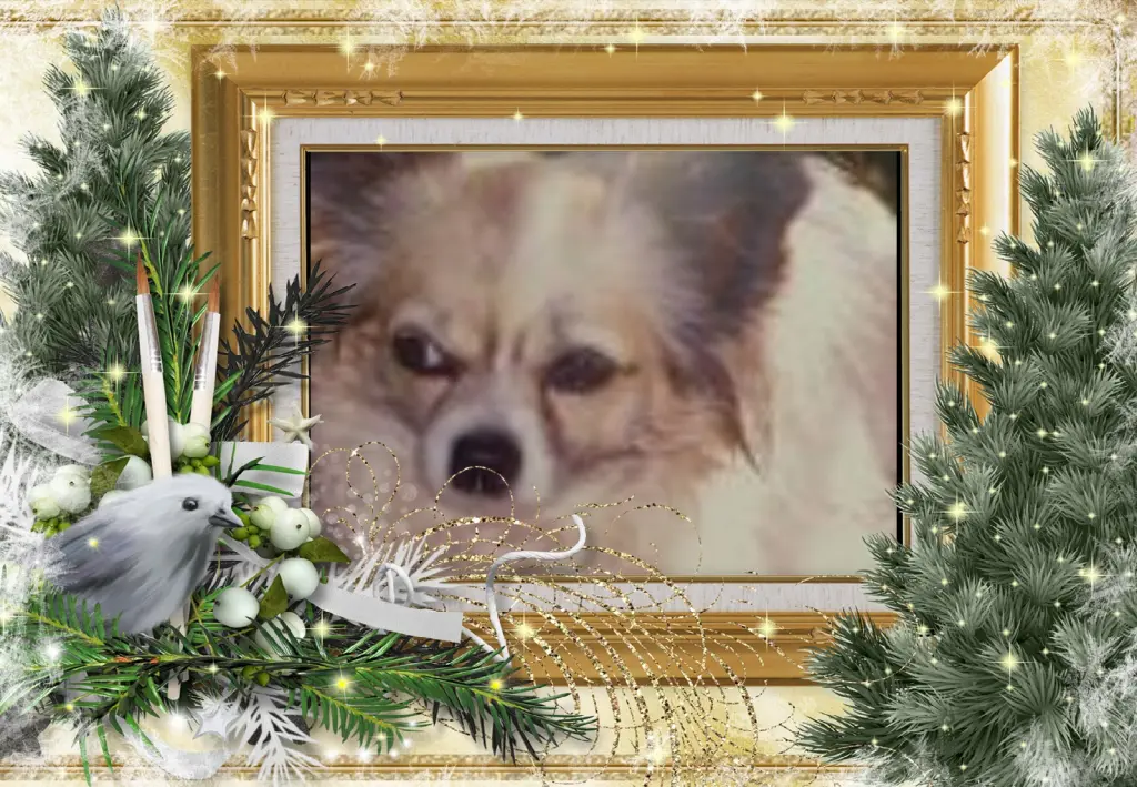 Andachtsbild von Klaudia mit Misiu❤❤❤Ganz Tief im Herzen❤