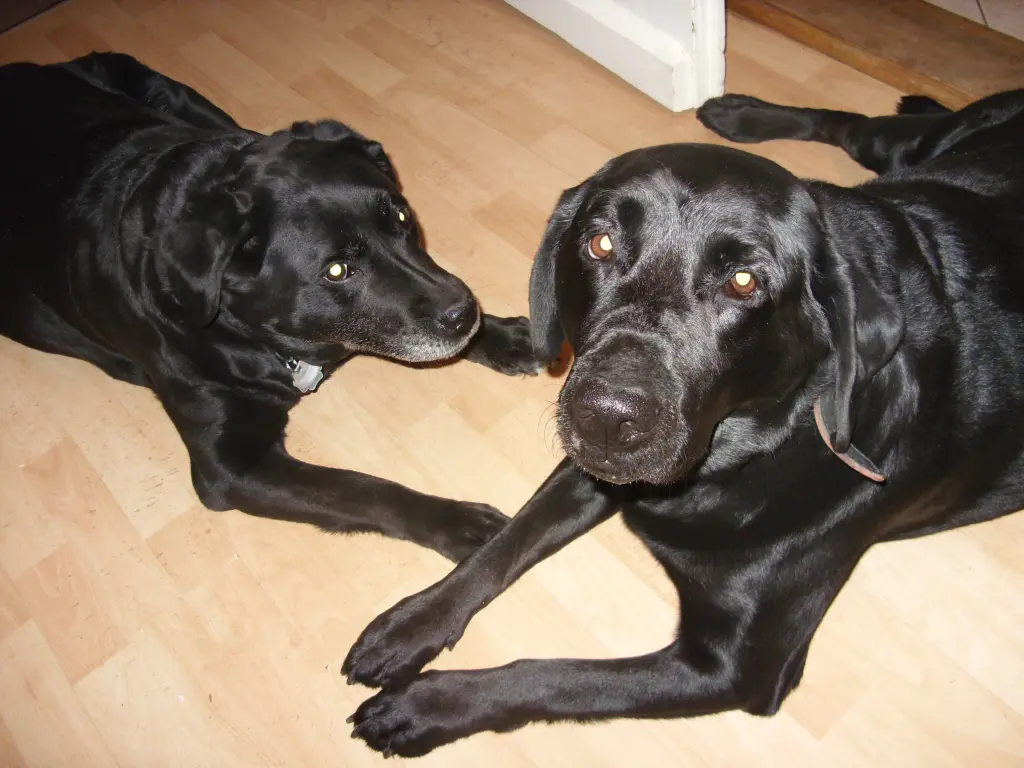 Andachtsbild von Unbekannt