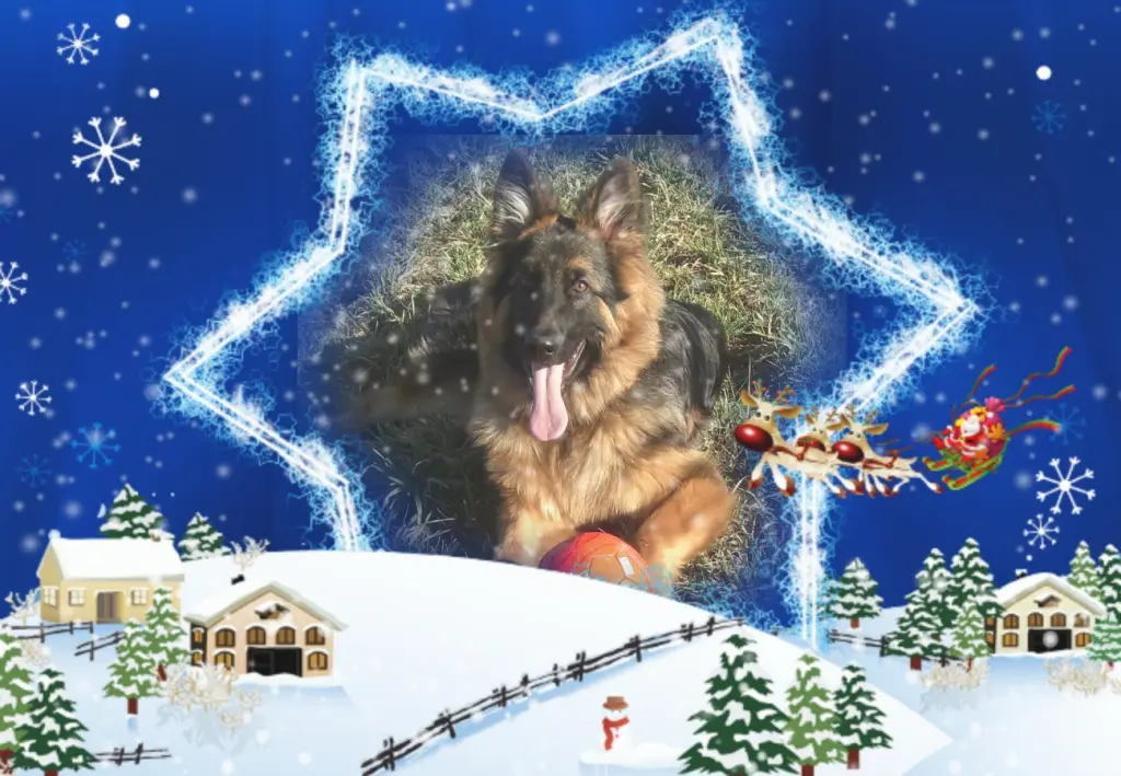 Andachtsbild von Dla Ciebie Ukochany Misieńku❤️❤️❤️