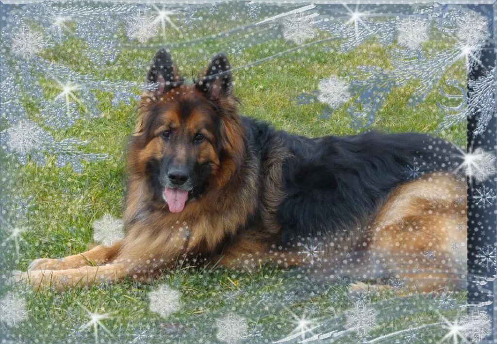 Andachtsbild von Kochany Misiu❤❤❤