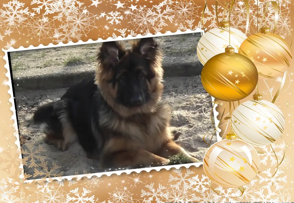 Andachtsbild von Najukochańszy Misieńku❤️❤️❤️