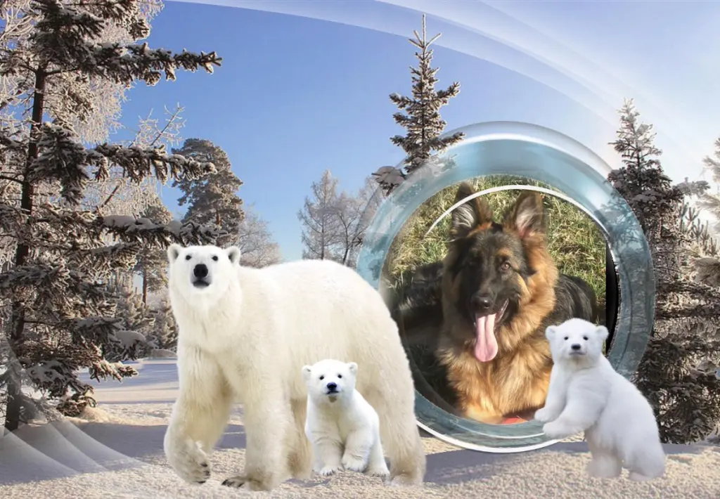 Andachtsbild von Dobranoc Ukochany Misieńku❤️❤️❤️