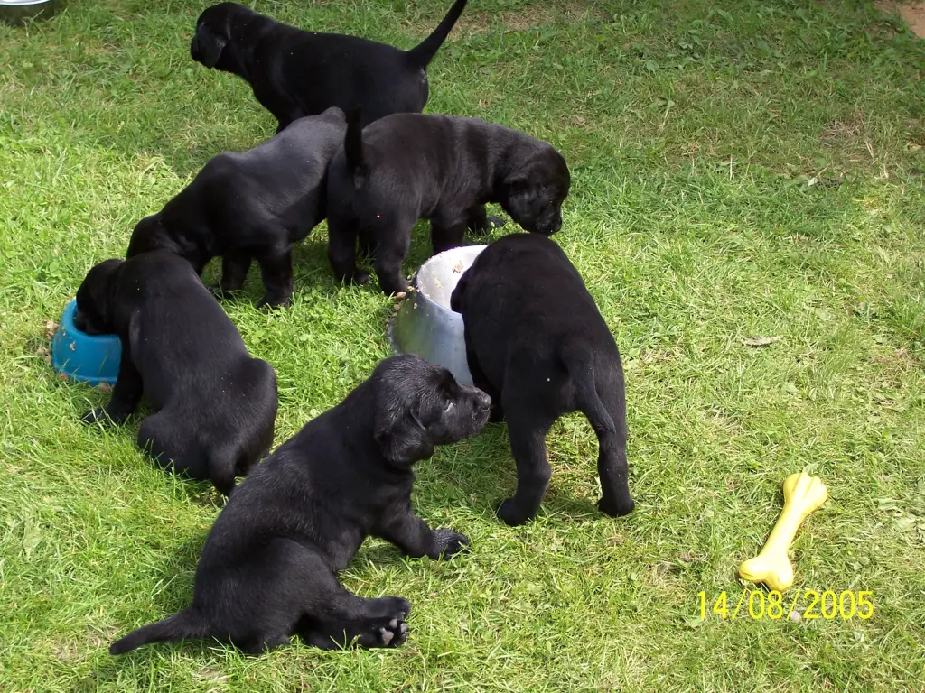 Andachtsbild von Unbekannt