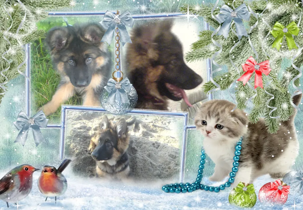 Andachtsbild von Kochany Misiaczku❤️❤️❤️