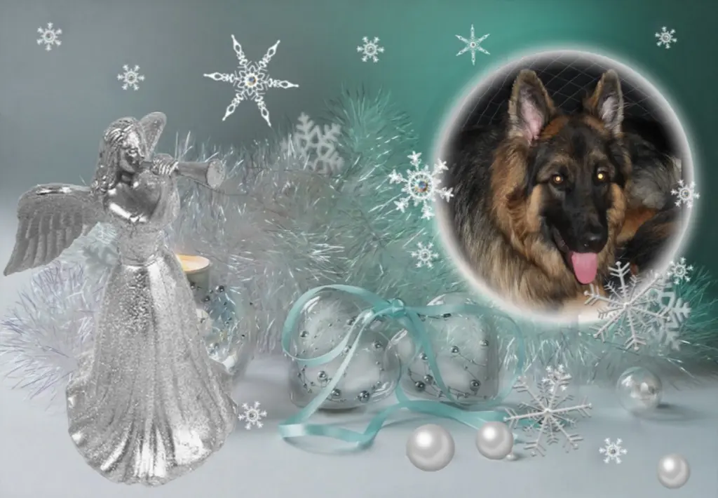 Andachtsbild von Meine Liebe Misiu❤️❤️❤️