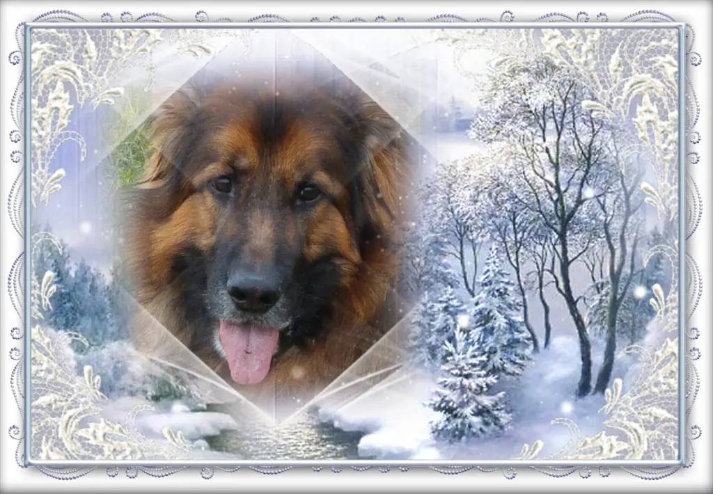 Andachtsbild von Kocham Cię Misieńku❤❤❤