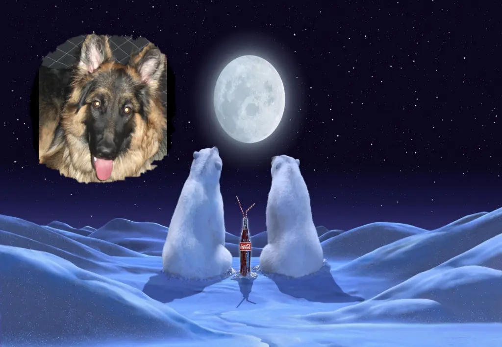 Andachtsbild von Schlaf Schon meine Liebe Misiu❤️❤️❤️