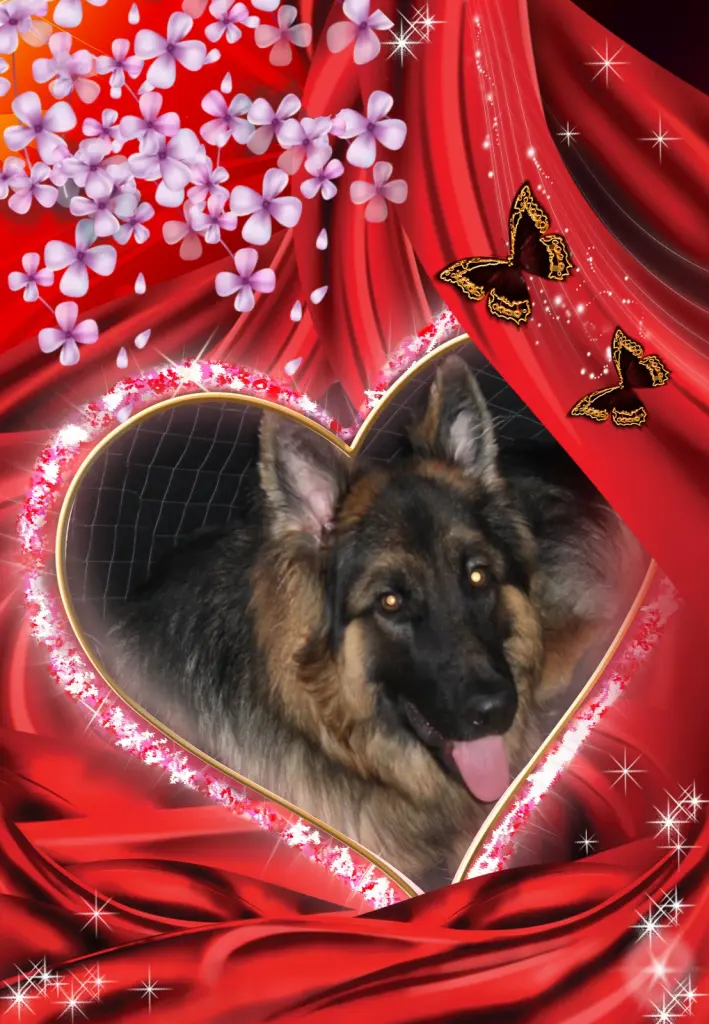 Andachtsbild von Mój Misieńku❤️❤️❤️