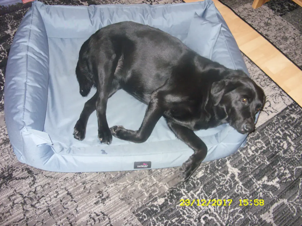 Andachtsbild von Unbekannt