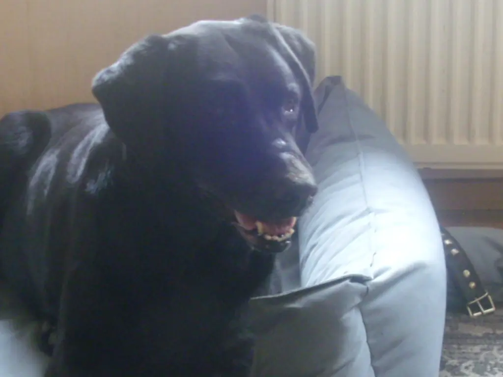 Andachtsbild von Evelyn mit Nele und Lara tief im Herzen