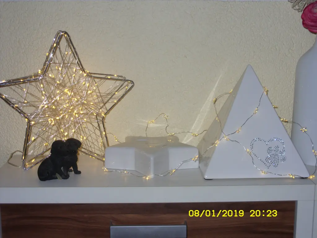 Andachtsbild von Unbekannt