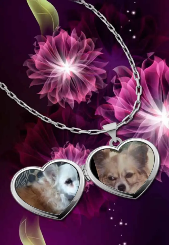 Andachtsbild von Klaudia mit Misiu❤❤❤Ganz Tief im Herzen❤