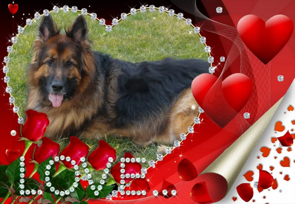 Andachtsbild von Kochany Misiu❤❤❤