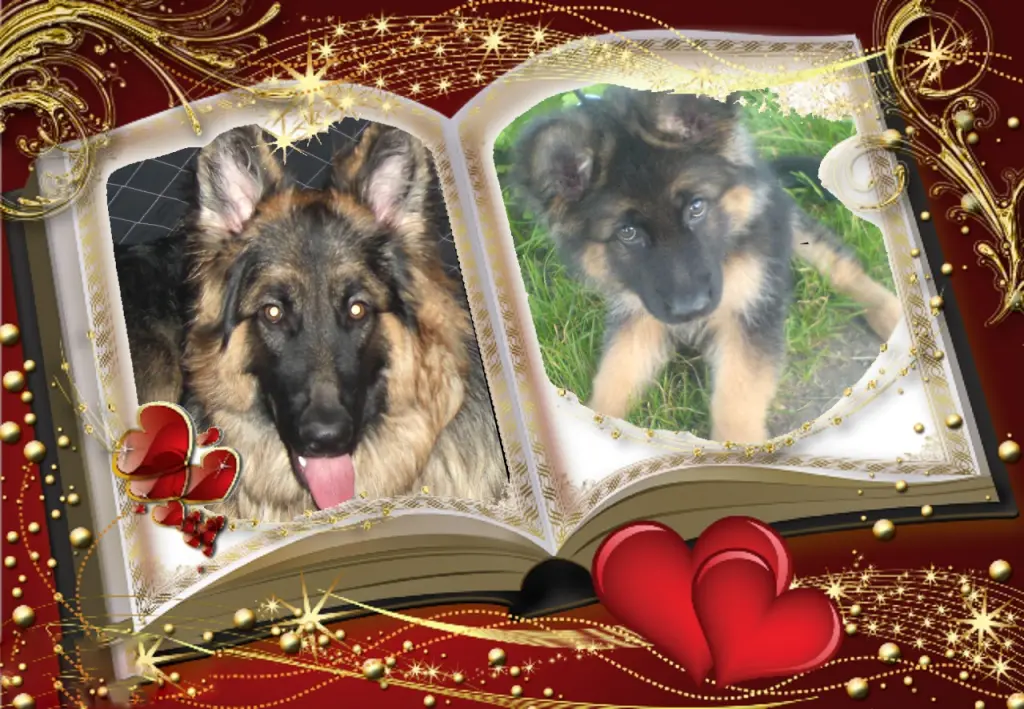 Andachtsbild von Dobrej Nocki Misieńku❤️❤️❤️