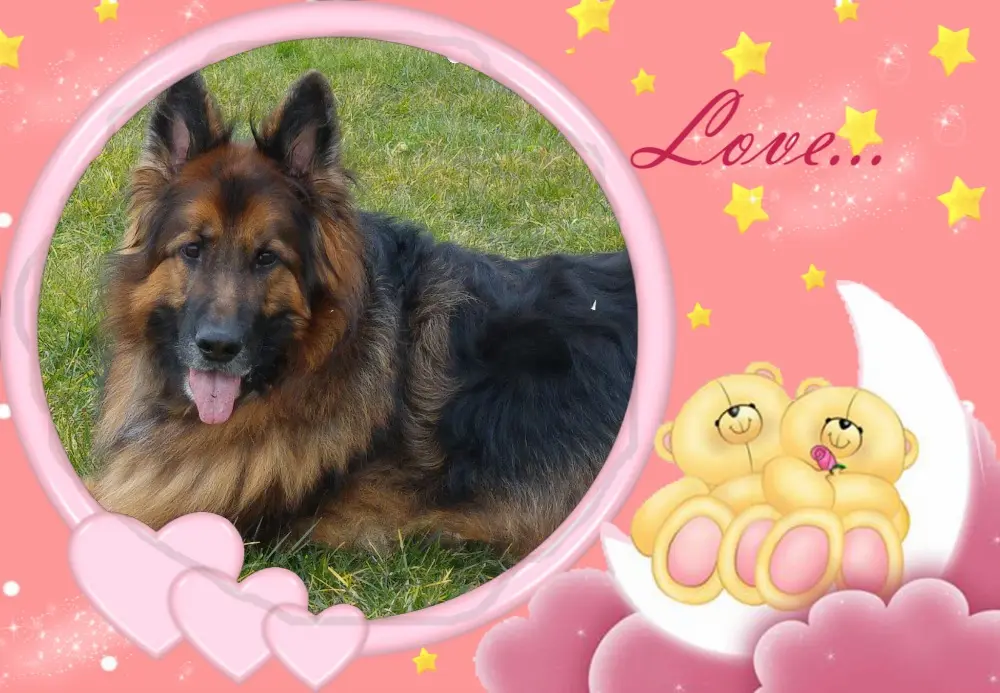 Andachtsbild von Śpij Dobrze Misieńku❤️❤️❤️