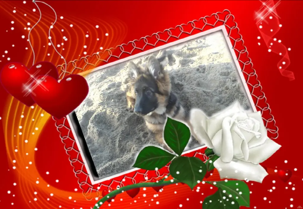 Andachtsbild von Ukochany Misieńku❤️❤️❤️