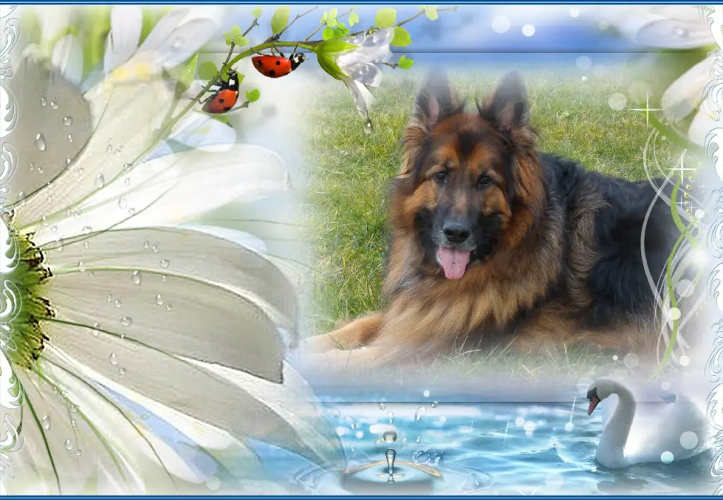 Andachtsbild von Mój Misiaczku❤️❤️❤️