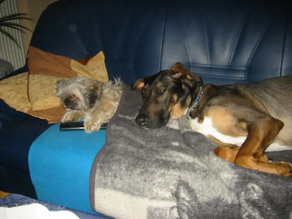 Andachtsbild von Kathrin mit Susi im Herzen