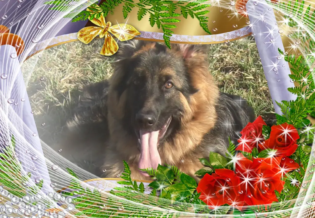 Andachtsbild von Ukochany Misieńku❤️❤️❤️