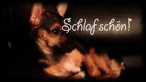 Andachtsbild von Brigitte mit Nelly, Benny und Axel im Herzen