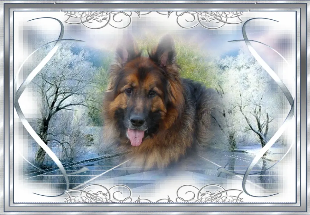 Andachtsbild von Dzień Dobry Misieńku❤️❤️❤️