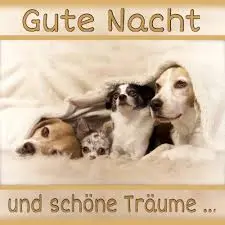 Andachtsbild von Brigitte mit Nelly, Benny und Axel im Herzen