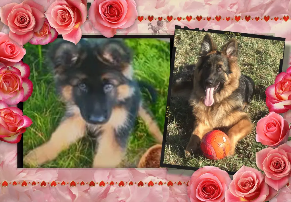 Andachtsbild von Liebe Misieńku❤️❤️❤️