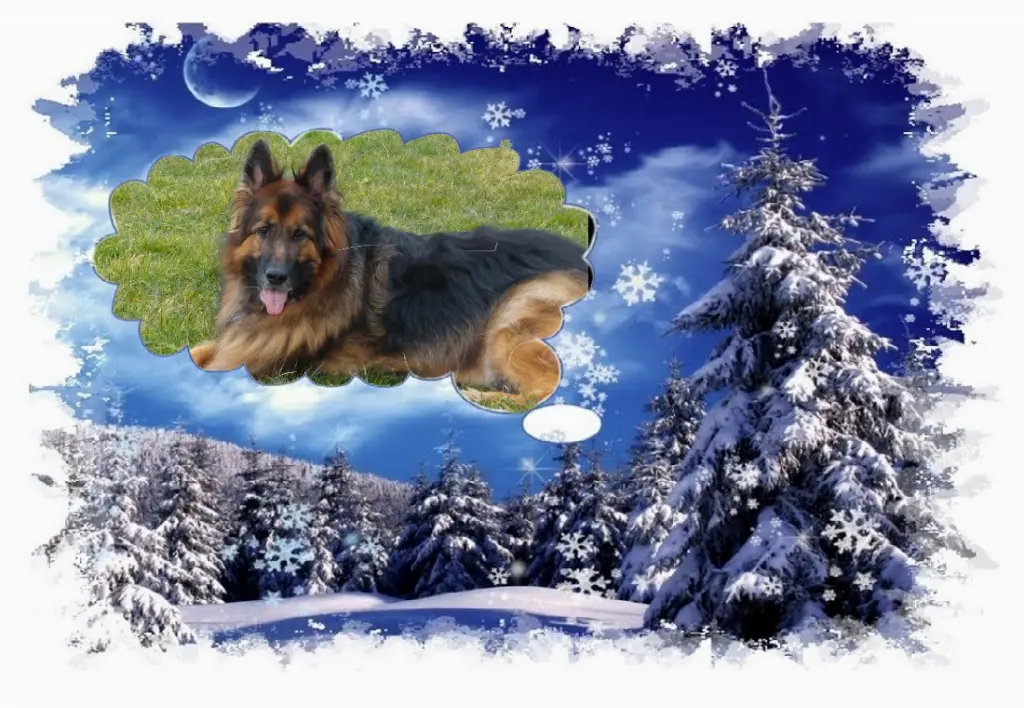 Andachtsbild von Dobranoc Kochanie❤️❤️❤️