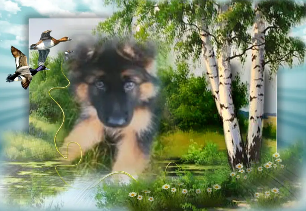 Andachtsbild von Dobrej Nocki Misieńku❤️❤️❤️