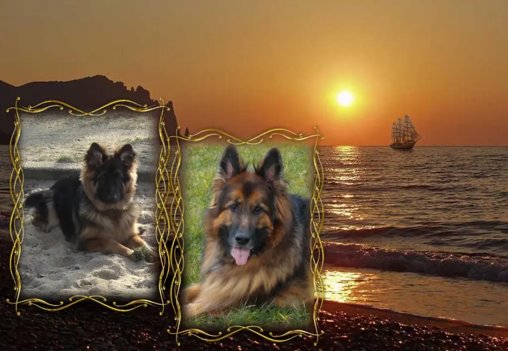 Andachtsbild von Dobrej Nocki Misieńku❤️❤️❤️