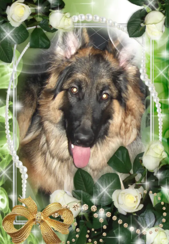 Andachtsbild von Ukochany Misiaczku❤️❤️❤️