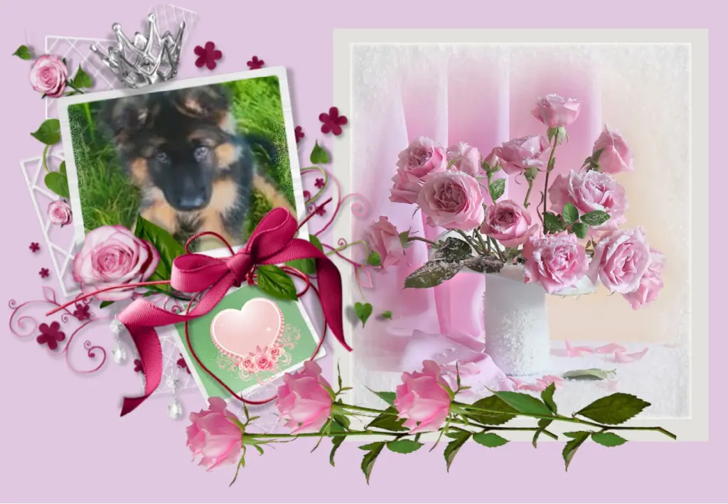 Andachtsbild von Dobrej Nocki Maluszku❤️❤️❤️