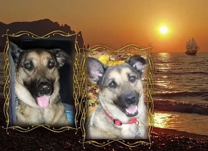 Andachtsbild von Unbekannt