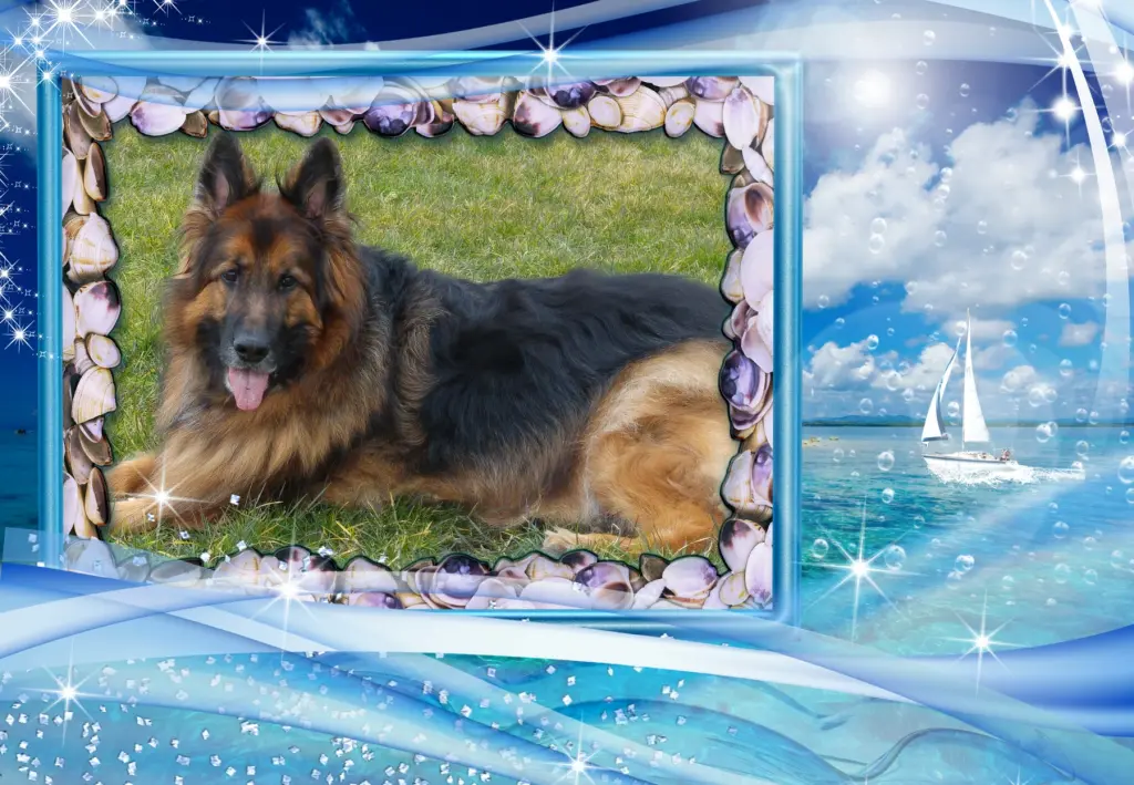 Andachtsbild von Kochany Misiu❤❤❤