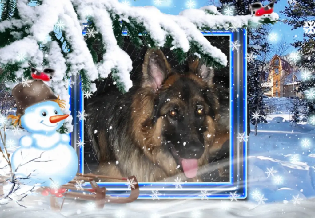 Andachtsbild von Guten Abend Misieńku❤️❤️❤️