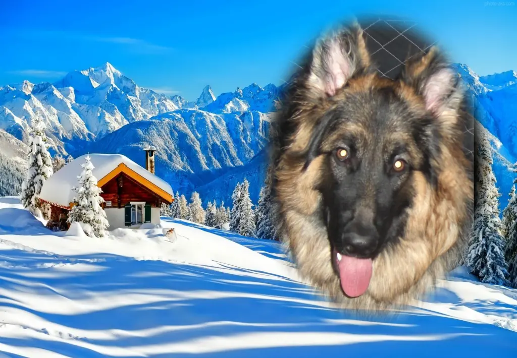 Andachtsbild von Dzień Dobry Misieńku❤️❤️❤️