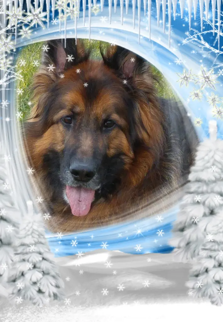 Andachtsbild von Dobrej Nocki❤️❤️❤️