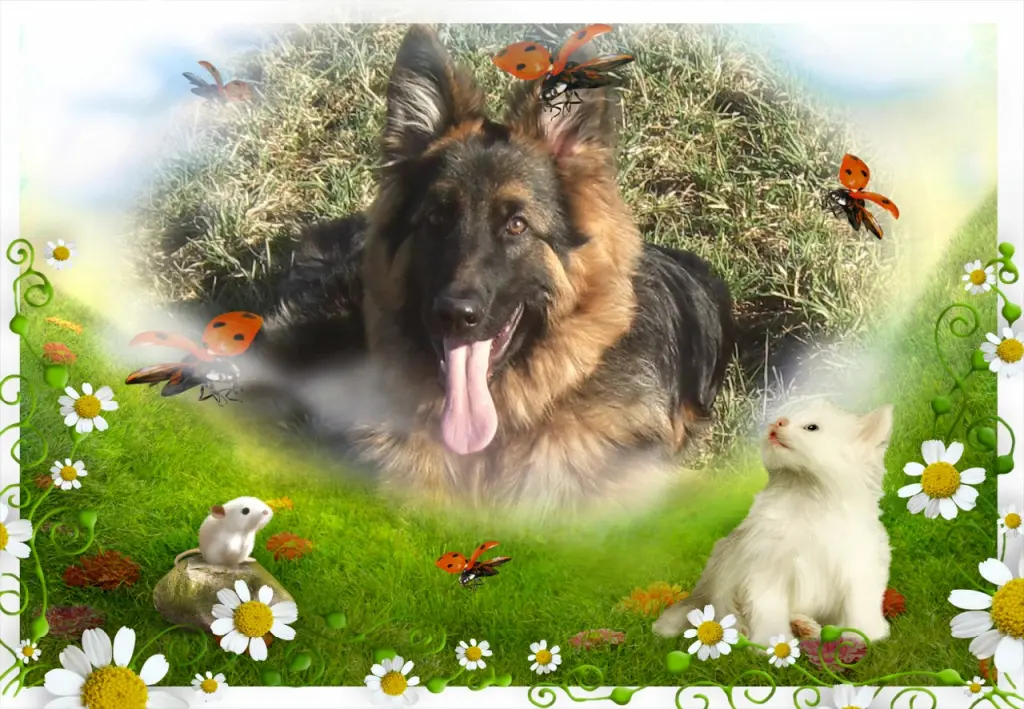 Andachtsbild von Ukochany Misieńku❤️❤️❤️