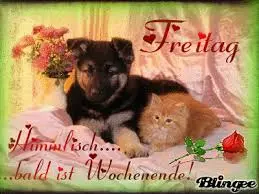 Andachtsbild von Brigitte mit Nelly, Benny und Axel im Herzen